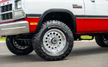 Dodge-Other-Pickups-1991-Pickup-Truck-3