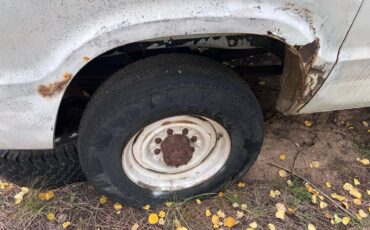 Dodge-Pathfinder-4x4-van-1978-white-5
