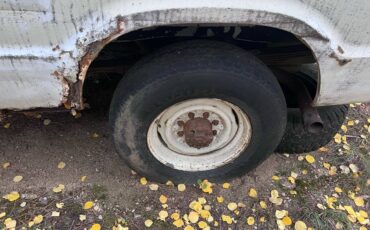 Dodge-Pathfinder-4x4-van-1978-white-6