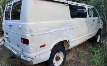 Dodge-Pathfinder-4x4-van-1978-white-8