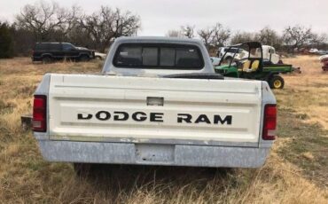 Dodge-Pickup-1981-10