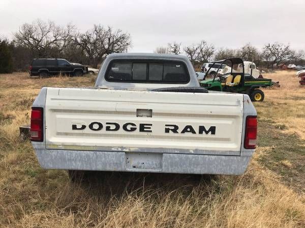 Dodge-Pickup-1981-10