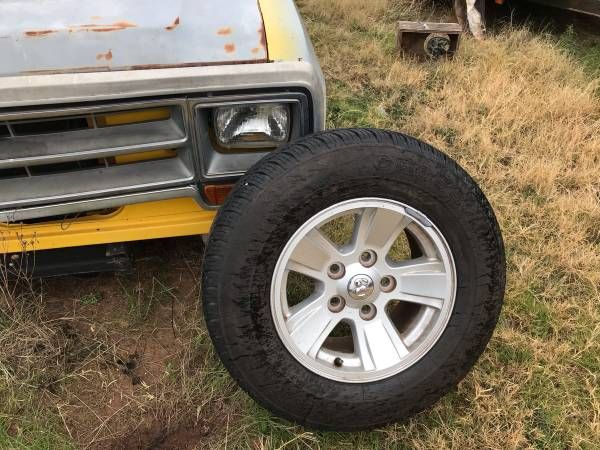 Dodge-Pickup-1981-11