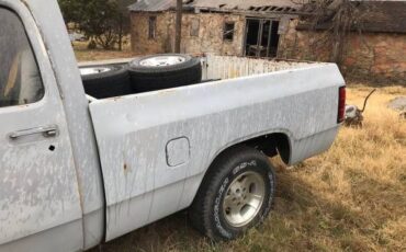 Dodge-Pickup-1981-12