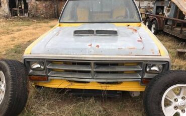 Dodge-Pickup-1981-16