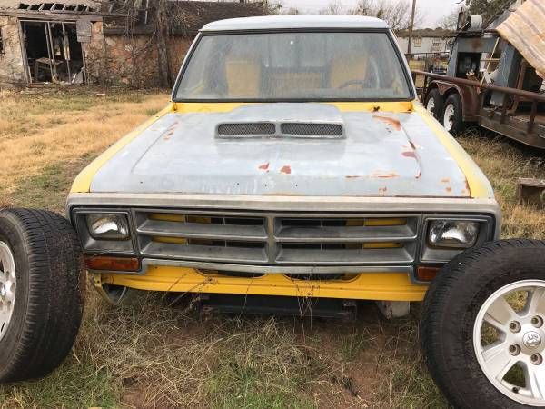 Dodge-Pickup-1981-16