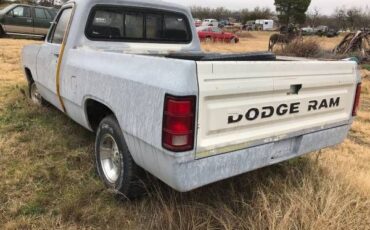 Dodge-Pickup-1981-19
