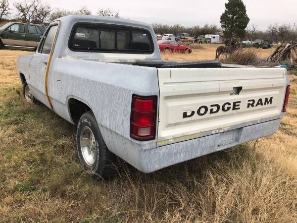 Dodge-Pickup-1981-19