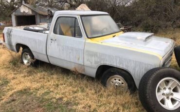 Dodge-Pickup-1981-20