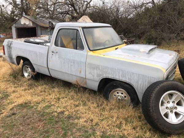Dodge-Pickup-1981-20