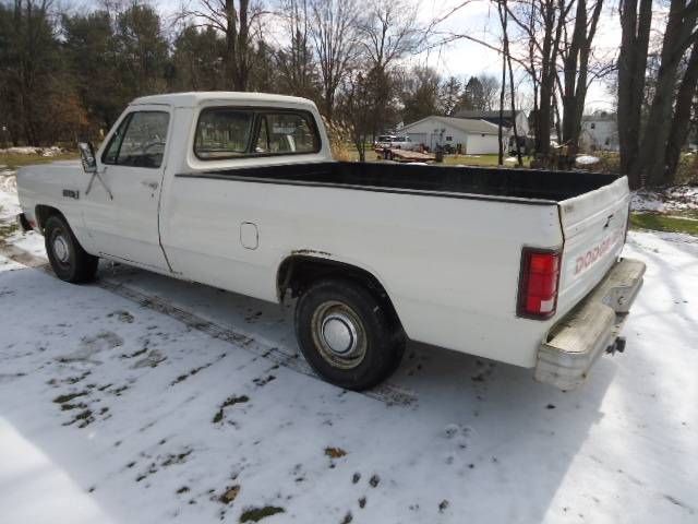 Dodge-Pickup-1985-White-12