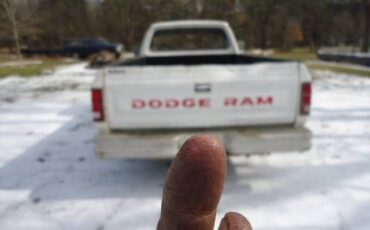 Dodge-Pickup-1985-White-13