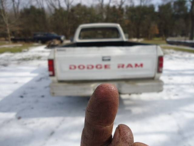 Dodge-Pickup-1985-White-13