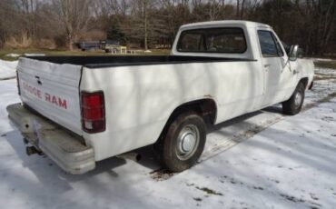 Dodge-Pickup-1985-White-8