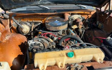 Dodge-Power-wagon-1977-Brown-Black-13