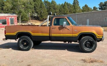 Dodge-Power-wagon-1977-Brown-Black-17