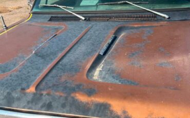 Dodge-Power-wagon-1977-Brown-Black-3