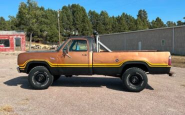 Dodge-Power-wagon-1977-Brown-Black