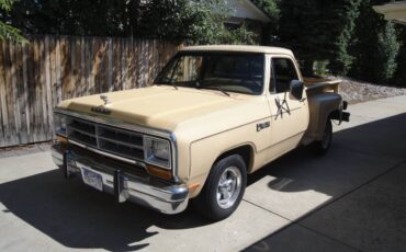 Dodge-Ram-d150-1982-19