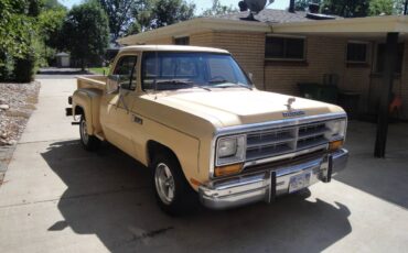 Dodge-Ram-d150-1982-20