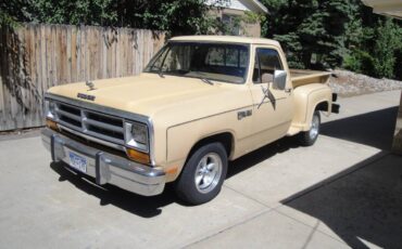 Dodge-Ram-d150-1982-21
