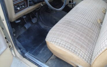 Dodge-Ram-d150-1982-8