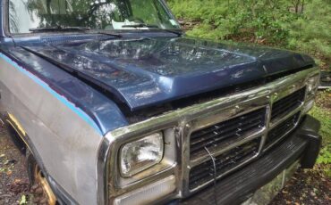 Dodge-Ram-deisel-cummins-3500-diesel-1993-grey-2