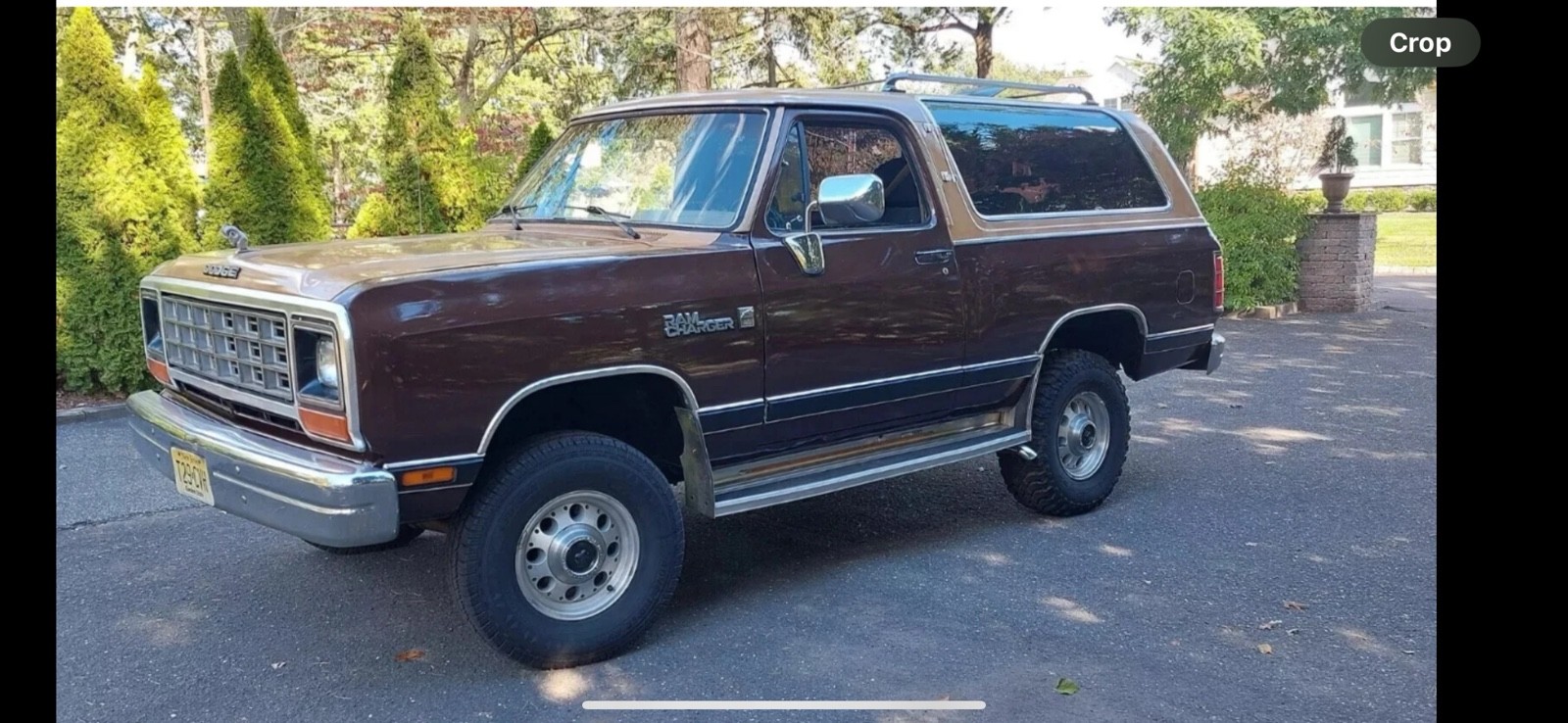 Dodge-Ramcharger-1987-SUV-6