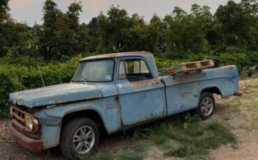 Dodge-Truck-1969-1