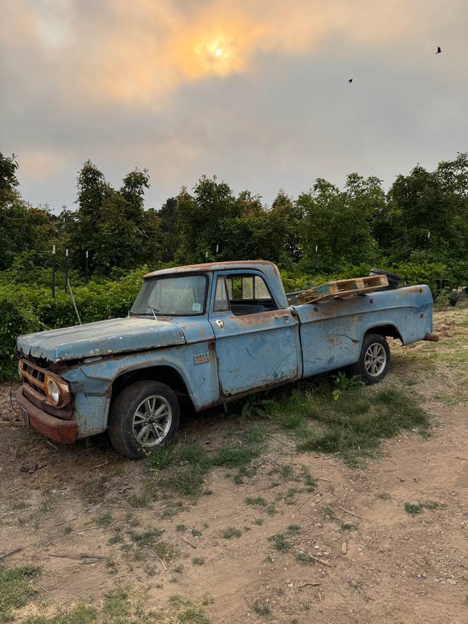 Dodge-Truck-1969-1