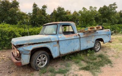 Dodge Truck 1969