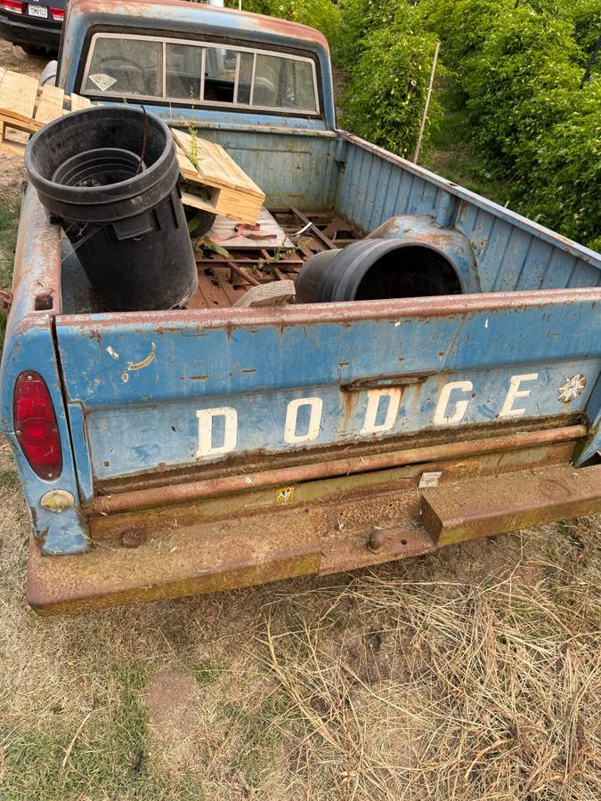 Dodge-Truck-1969-6