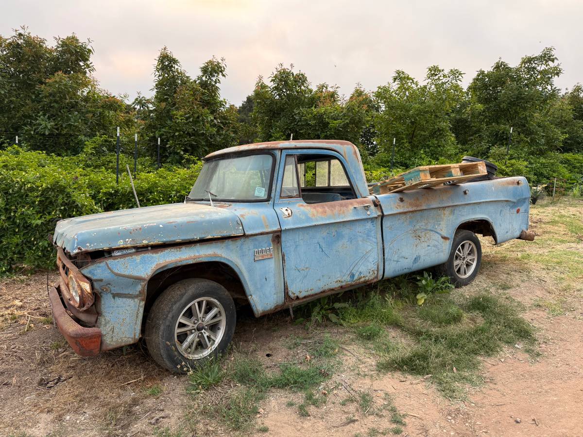 Dodge-Truck-1969