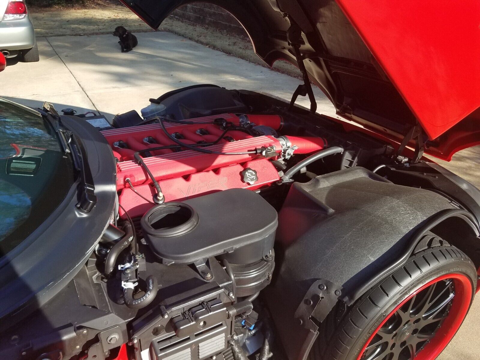 Dodge-Viper-1993-Convertible-25