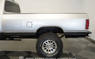 Dodge-W150-1989-Viper-Steel-Gray-Black-19