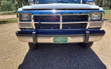 Dodge-W250-1992-Dodge-White-Grey