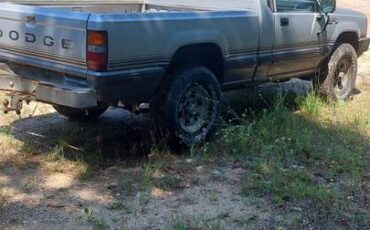 Dodge-d-50-4×4-1988-silver-1