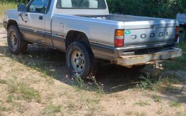 Dodge-d-50-4×4-1988-silver