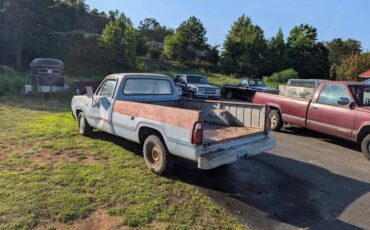 Dodge-d100-1979-silver-1