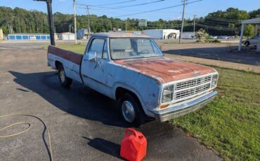 Dodge-d100-1979-silver
