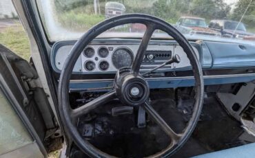 Dodge-d100-1979-silver-5