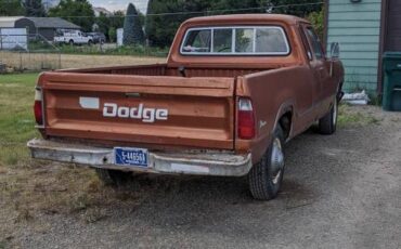 Dodge-d200-club-cab-1973-orange-4