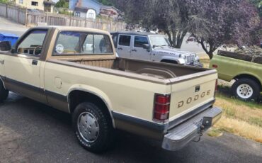 Dodge-dakota-1988-custom-1