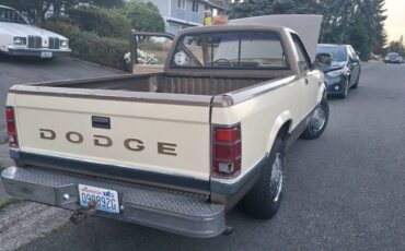 Dodge-dakota-1988-custom-10