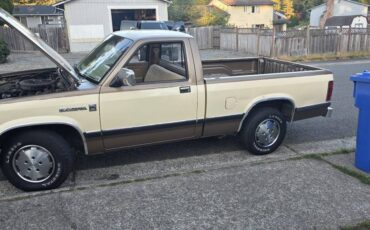 Dodge-dakota-1988-custom-12