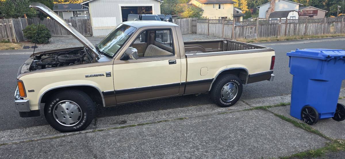 Dodge-dakota-1988-custom-12