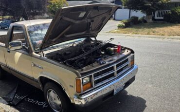Dodge-dakota-1988-custom-15