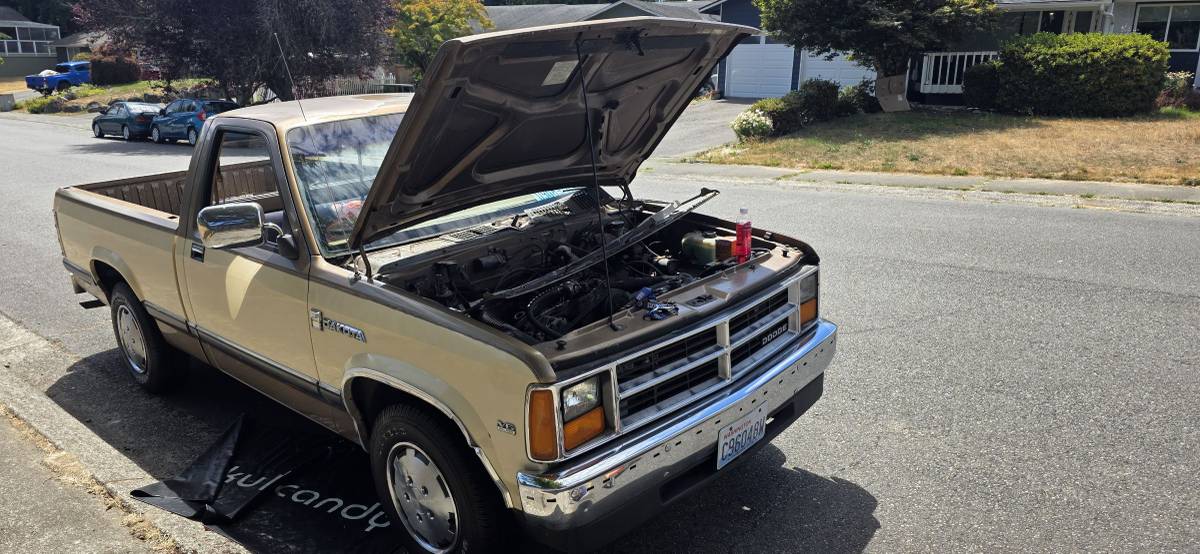 Dodge-dakota-1988-custom-15