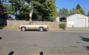 Dodge-dakota-1988-custom-16