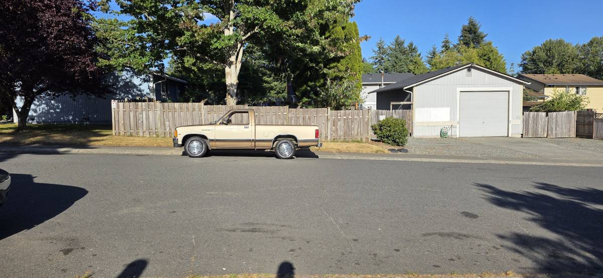 Dodge-dakota-1988-custom-16